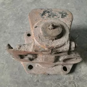 resor kranşteyin maz