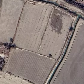 Земля под фруктовый сад