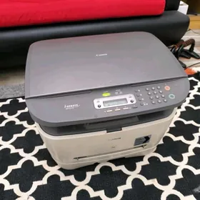 ксерекопяа