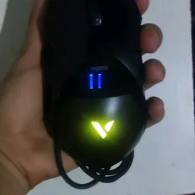 profesyonel igravoy myska rapo