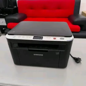 ксерекопяа