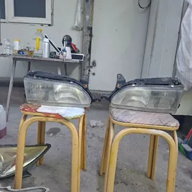 Lisicka onki fara morda