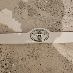 palta bagaz abilsofka