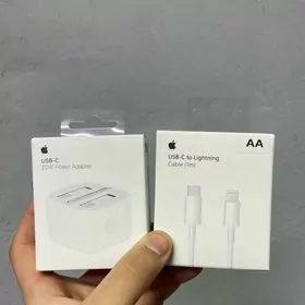 iphone zarýatnik 20W