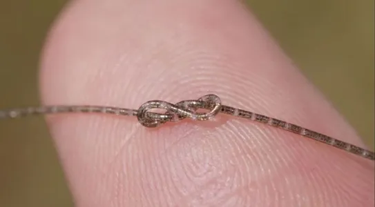 Hytaý alymlary saçyň tary ýaly inçe we çeýe sapaga millionlarça tranzistory sygdyrdylar