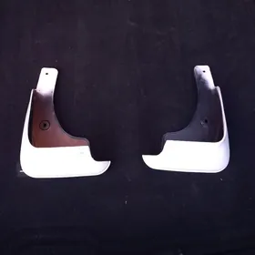 Aurion Camry brazgowik