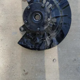 stupisa palta aziýada