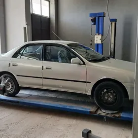 Razwal işletmeli arenda