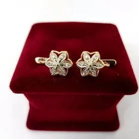 brilliant gadym gulakhalka