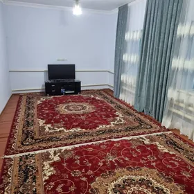 satlyk plan Jay Ýoloten