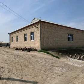 Howly jay Plan satlyk obmen 