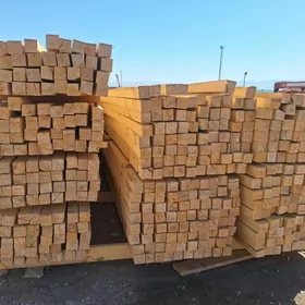 reýka agaç strapila