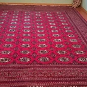 HALY PALAS DAROŞKLAR ALÝAS