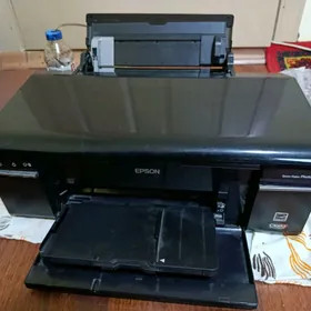 epson p50