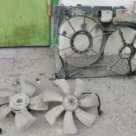 sienna lopus waryatyr