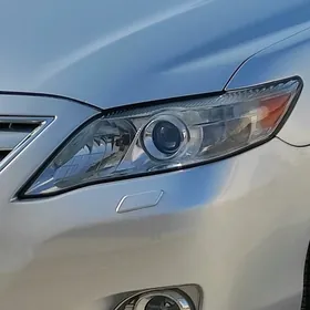 Fara okuz kelle 2011