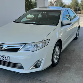 Toyota Camry 2013
