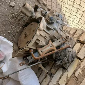 carona carolla karobka