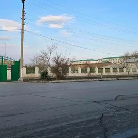 ANEW jay 10 sotyk Аннау