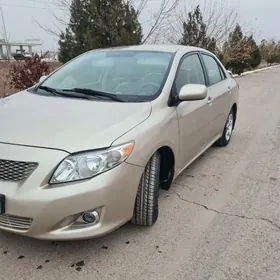 Toyota Corolla 2010