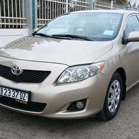 Toyota Corolla 2010