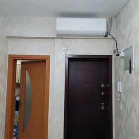 Taslama jay kwartira 4 kom