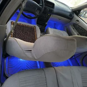 Kobrik çyralar komplekt