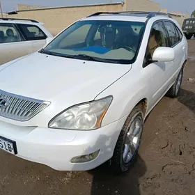 Lexus RX 330 2004
