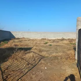 emlak yer şatlyk 36 sotok