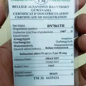 Prisep Polprisep 1987