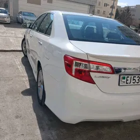Toyota Camry 2013