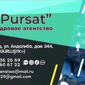 мерчендайзер