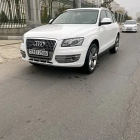 Audi Q5 2009