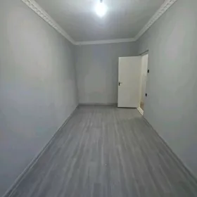 Бюзмеин Гресс Аркачка