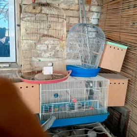 клетки для попугаев