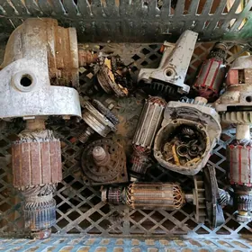 bolgarka uly kici ýakor