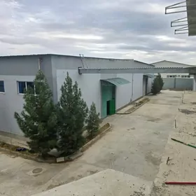 tayar 1 gektar Pomesheniye