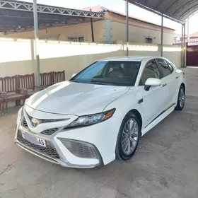 Toyota Camry 2022