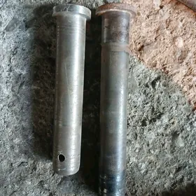 Gladki kruglyak гладки кругляк