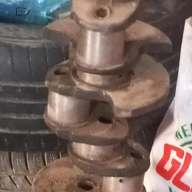 53 sotga matoryň walli