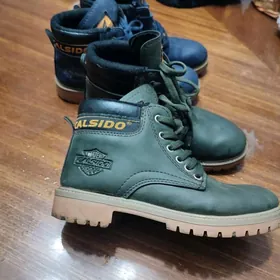 calsido ädikler gök we ýaṣ̌yl