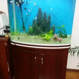 аквариум заводской