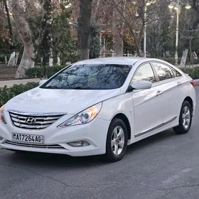Hyundai Sonata 2010