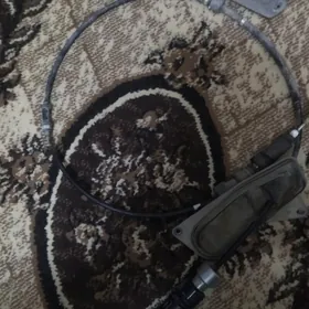 karolla skros tros 2011