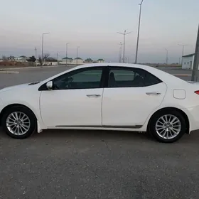 Toyota Corolla 2014