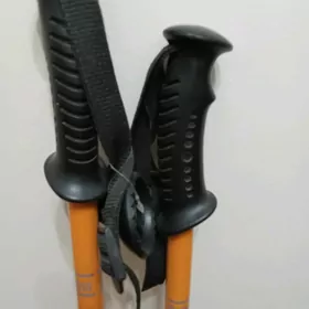 Скандинавские палки