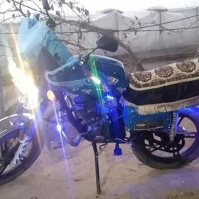 Fekon FK200-14G 2025