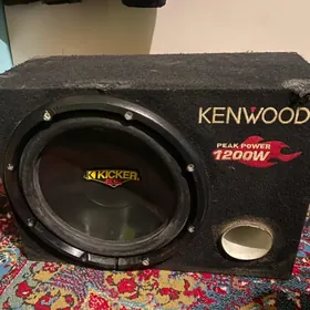 Sambufer orginal bocka