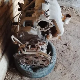 Матор бабочка