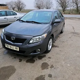 Toyota Corolla 2010